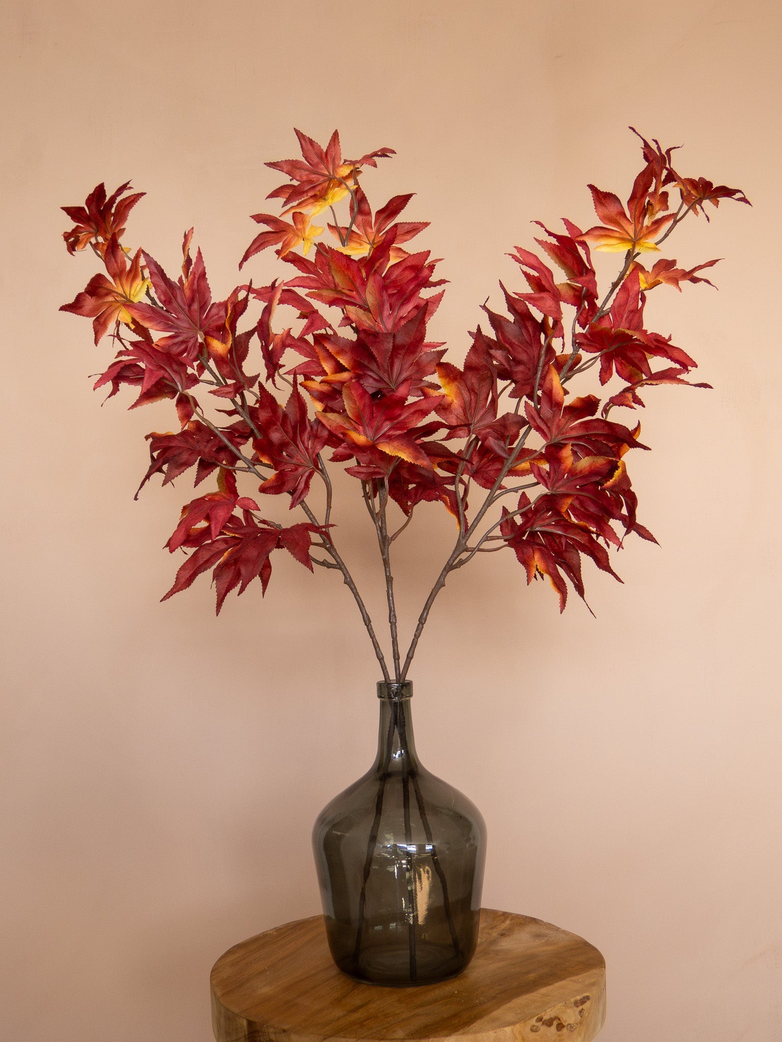 HERFST COLLECTIE