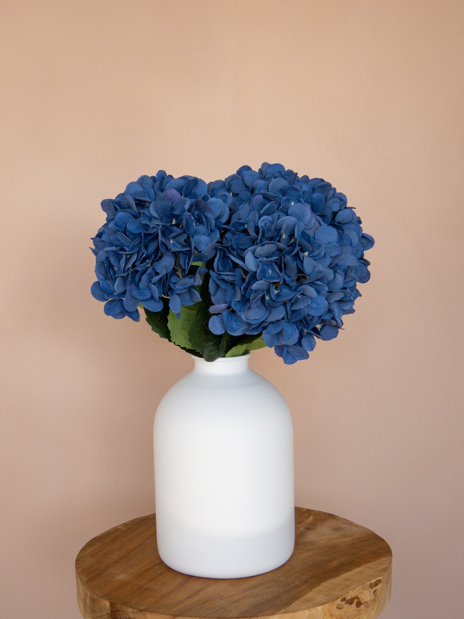 HORTENSIA'S