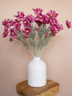 Zijden Cosmea's - Magenta (10 Stengels)