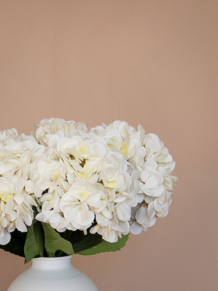 Zijden Hortensia's - Wit (5 Stengels)