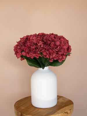 Zijden Hortensia's - Bordeauxrood (5 Stengels)