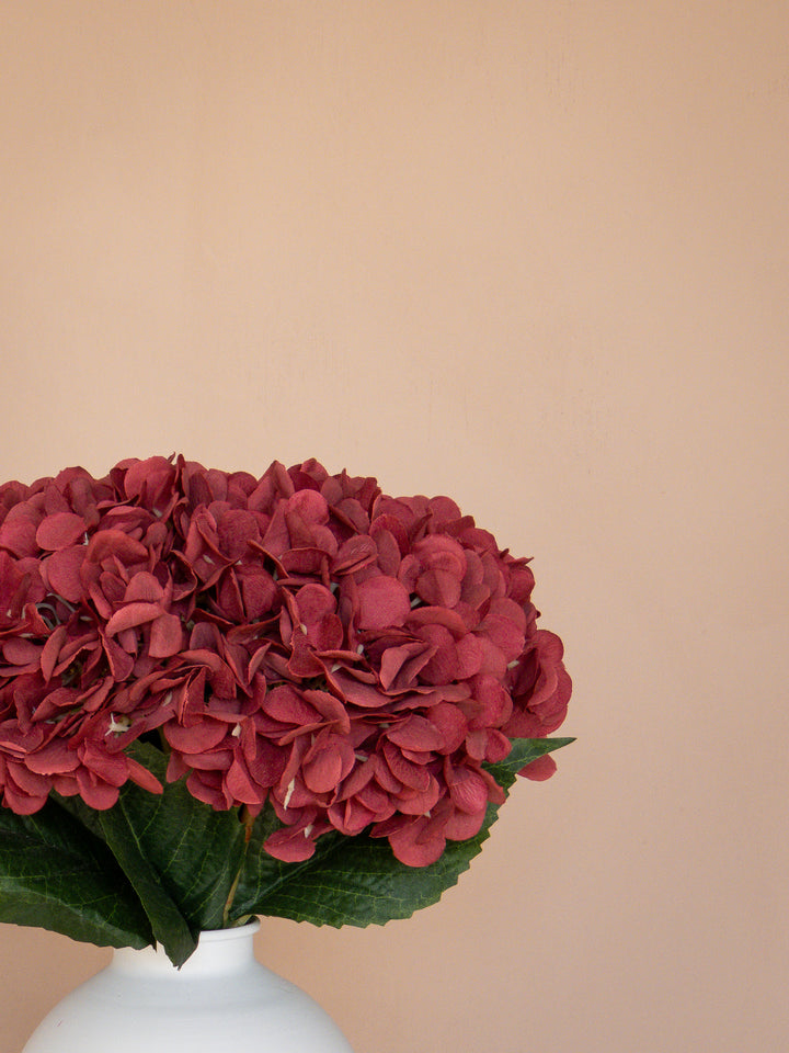Zijden Hortensia's - Bordeauxrood (5 Stengels)