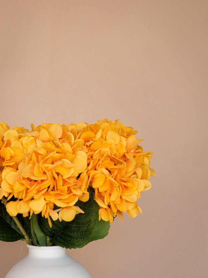 Zijden Hortensia's - Oranje (5 Stengels)