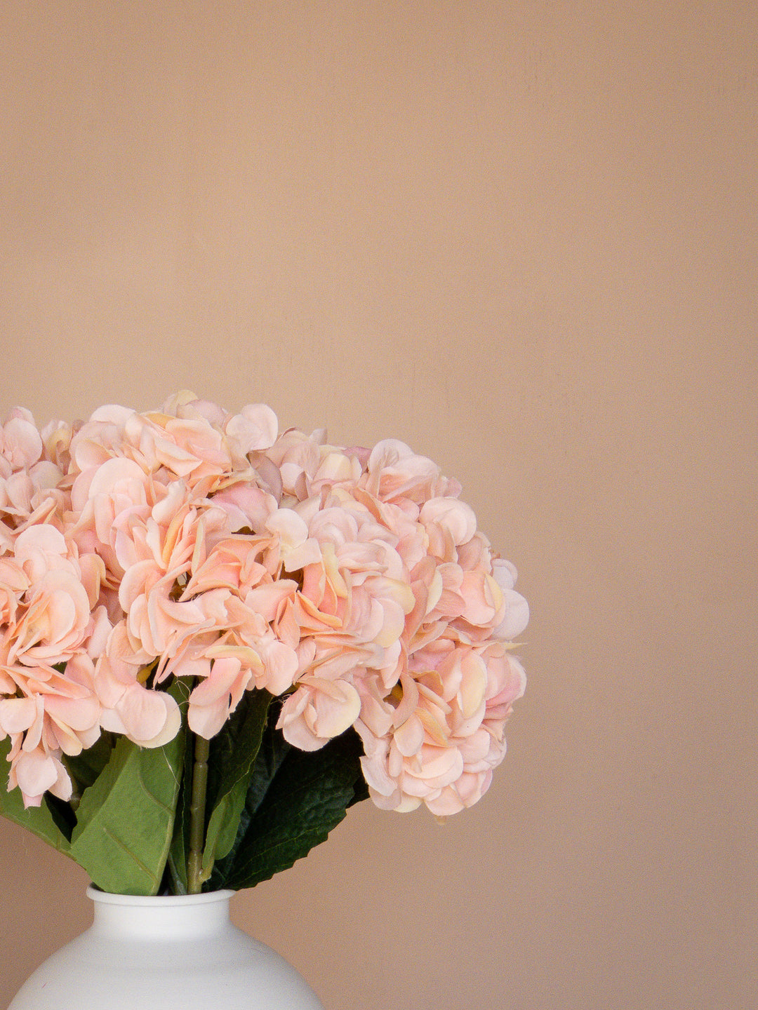 Zijden Hortensia's - Champagne (5 Stengels)