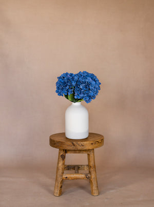 Zijden Hortensia's - Donkerblauw (5 Stengels)