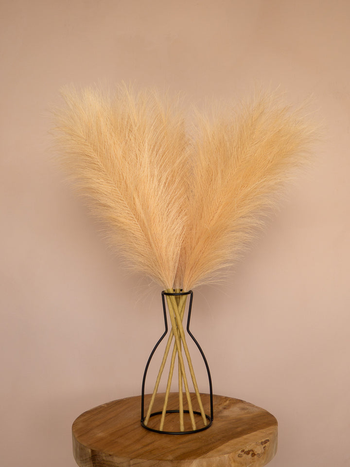 Pampas - 60cm - Beige (5 Stengels)