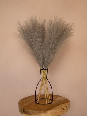 Pampas - 60cm - Lichtgrijs (5 Stengels)
