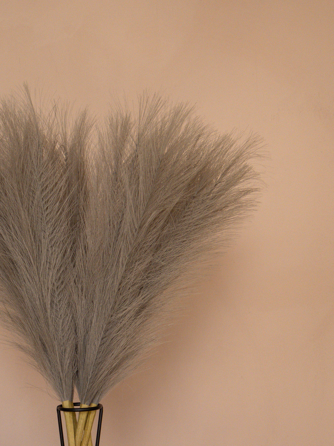 Pampas - 60cm - Lichtgrijs (5 Stengels)