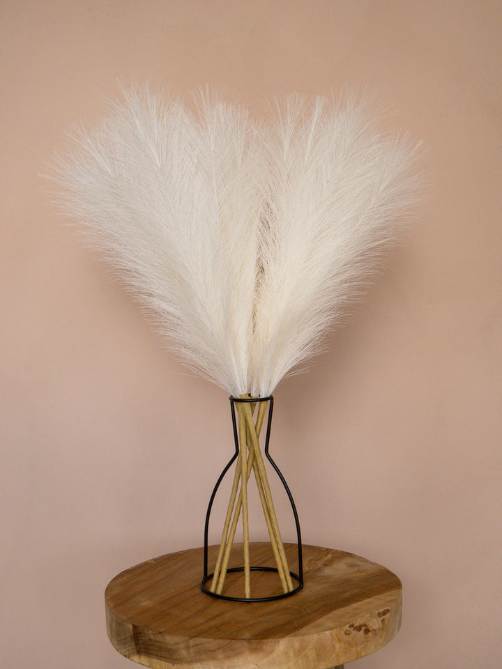 Pampas - 60cm - Wit (5 Stengels)
