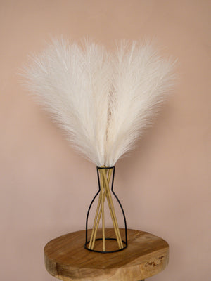 Pampas - 60cm - Wit (5 Stengels)