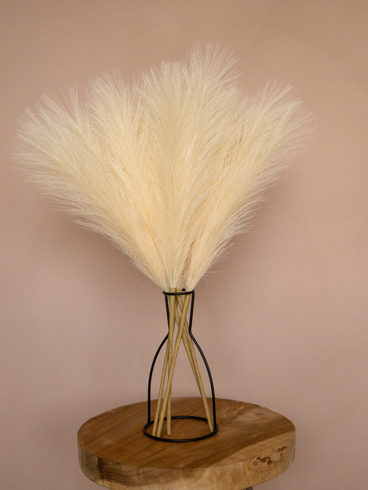 Pampas - 60cm - Créme (5 Stengels)