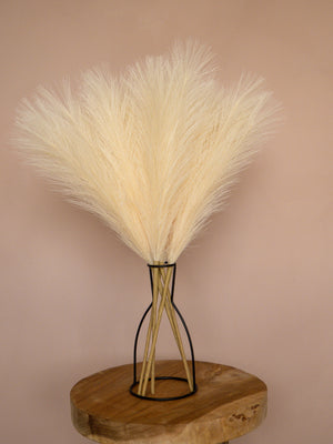 Pampas - 60cm - Créme (5 Stengels)