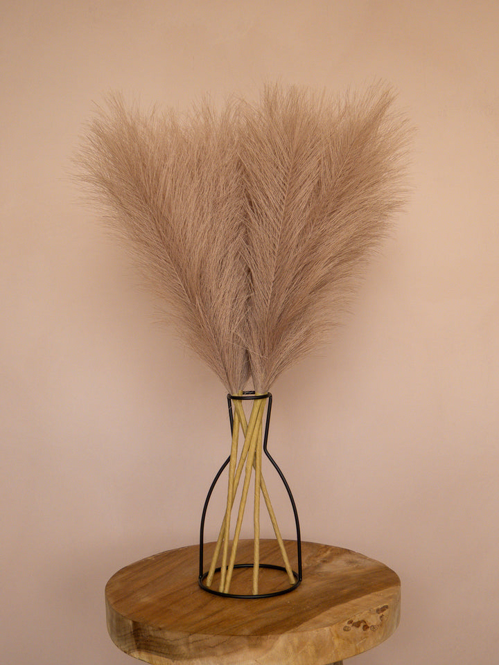 Pampas - 60cm - Bruin (5 Stengels)