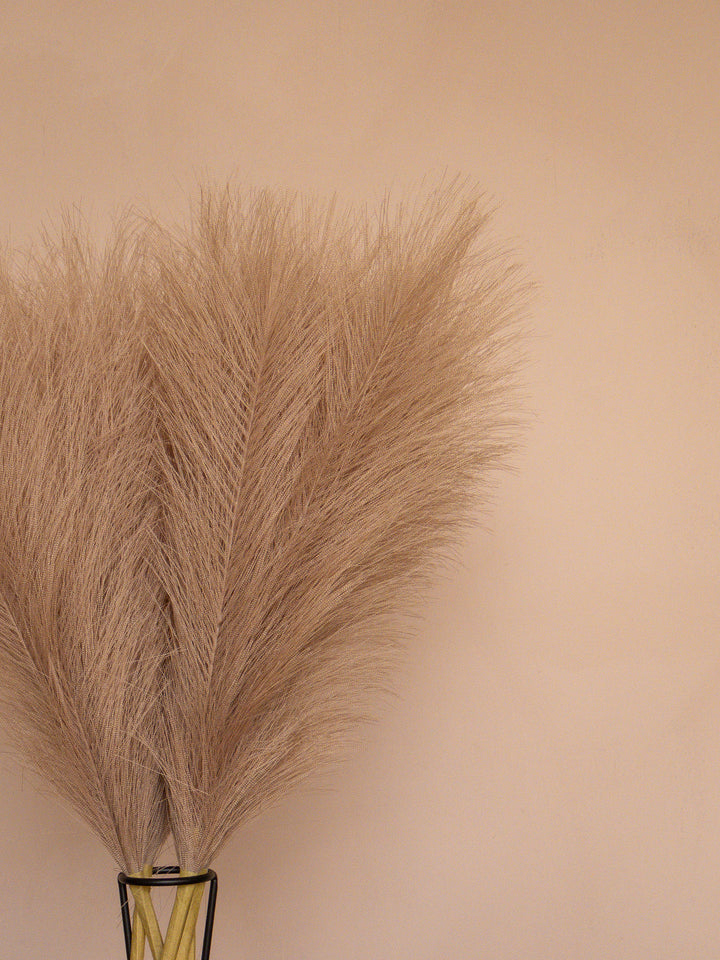 Pampas - 60cm - Bruin (5 Stengels)