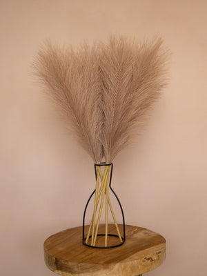Pampas - 60cm - Bruin (5 Stengels)