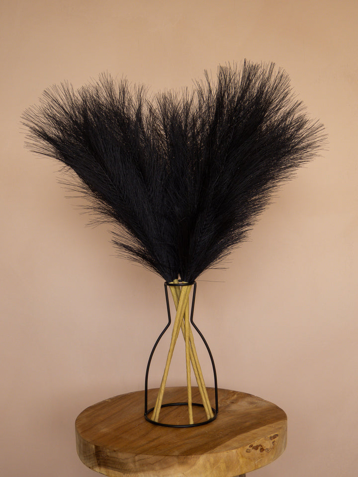 Pampas - 60cm - Zwart (5 Stengels)