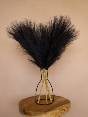 Pampas - 60cm - Zwart (5 Stengels)