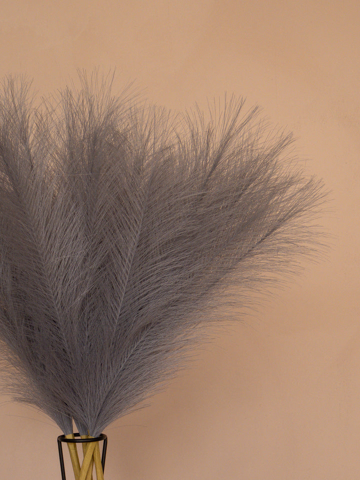 Pampas - 60cm - Grijs (5 Stengels)