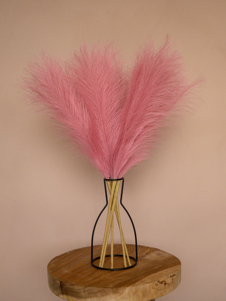 Pampas - 60cm - Roze (5 Stengels)