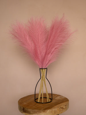 Pampas - 60cm - Roze (5 Stengels)