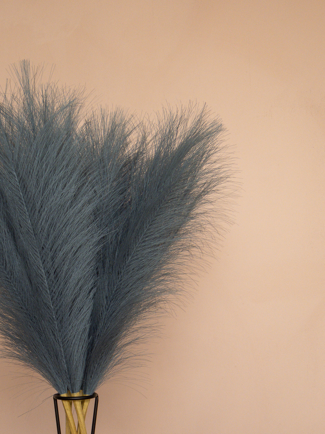 Pampas - 60cm - Marineblauw (5 Stengels)