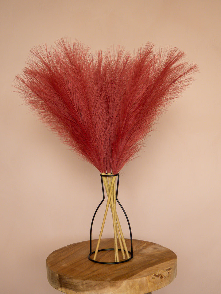 Pampas - 60cm - Rood (5 Stengels)