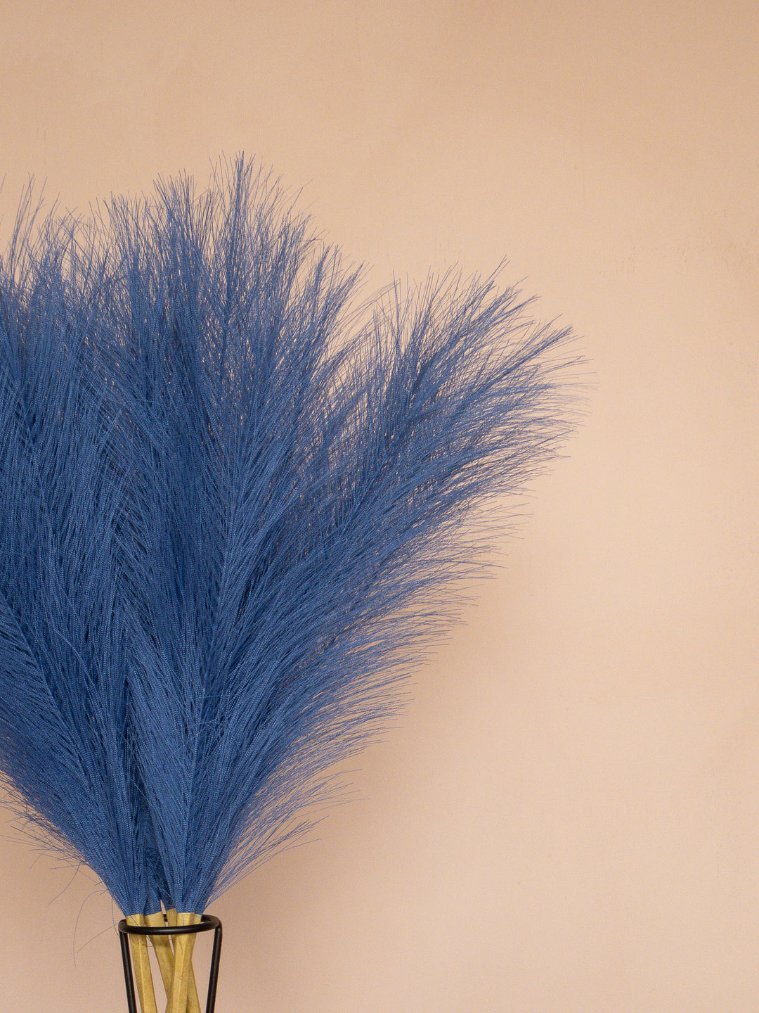 Pampas - 60cm - Blauw (5 Stengels)