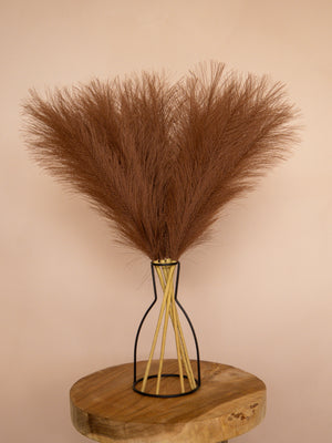 Pampas - 60cm - Donkerbruin (5 Stengels)