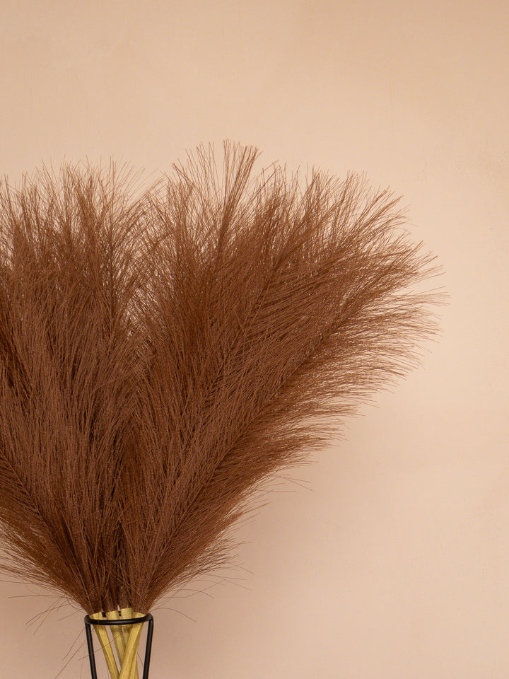 Pampas - 60cm - Donkerbruin (5 Stengels)