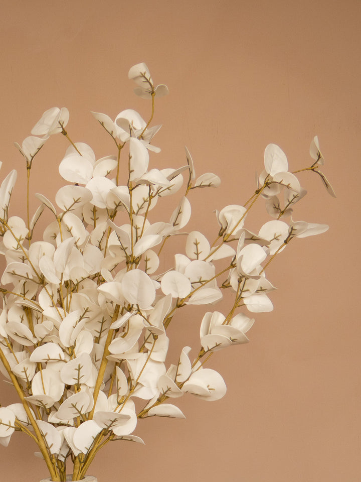 Eucalyptus - Wit (5 Stengels)