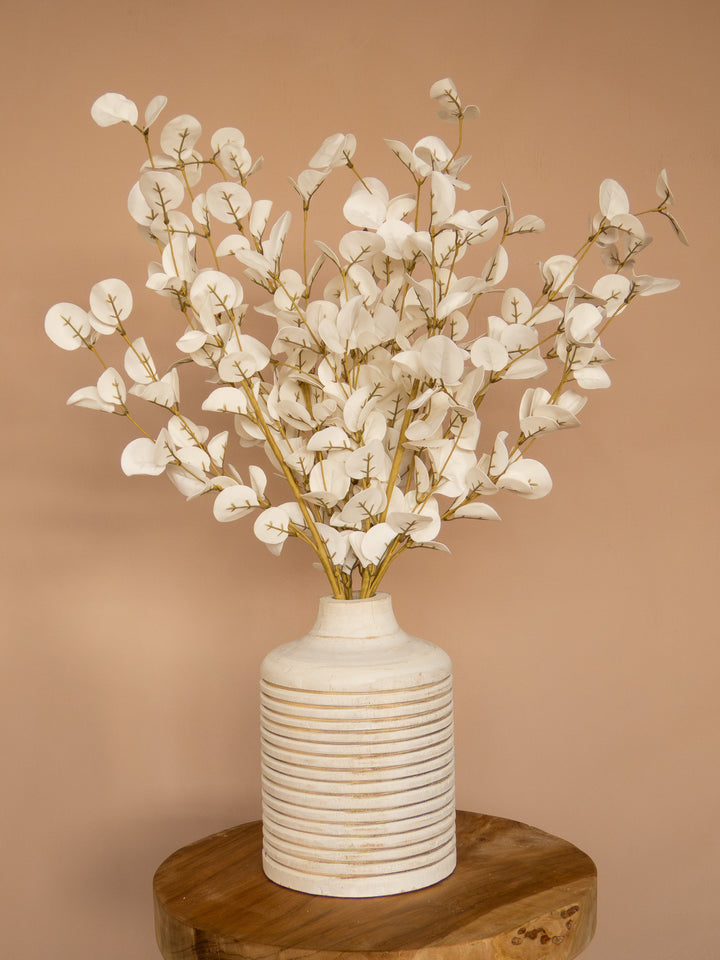 Eucalyptus - Wit (5 Stengels)