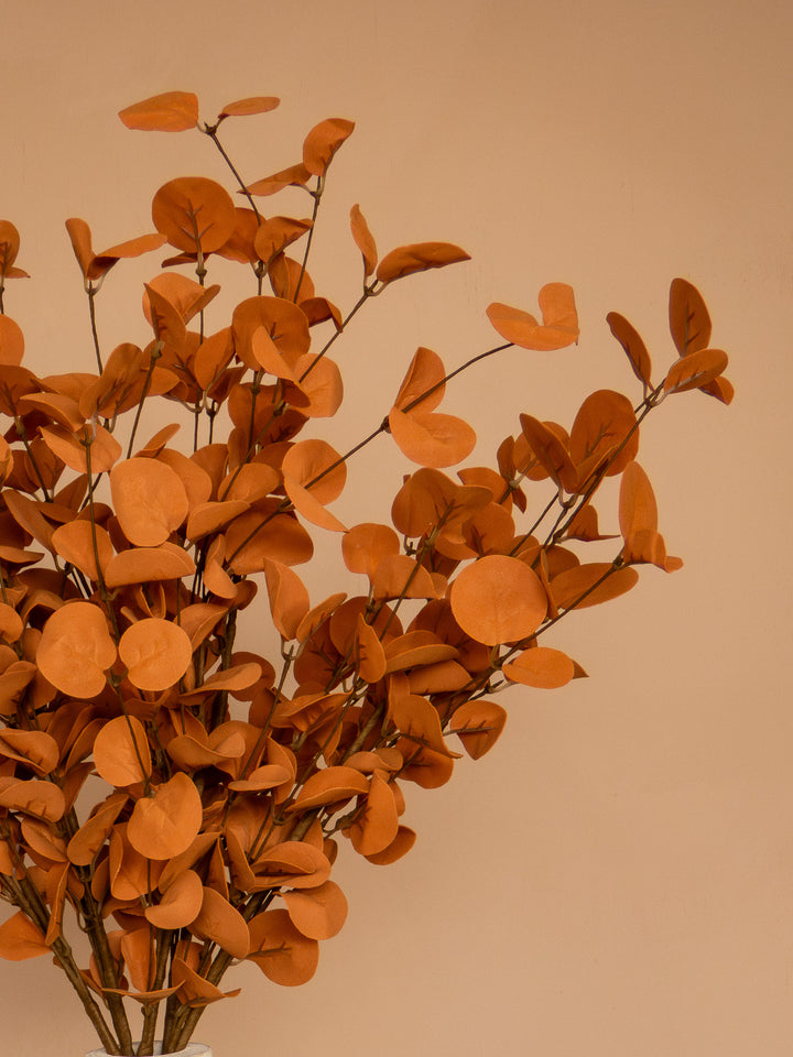 Eucalyptus - Herfst Oranje (5 Stengels)