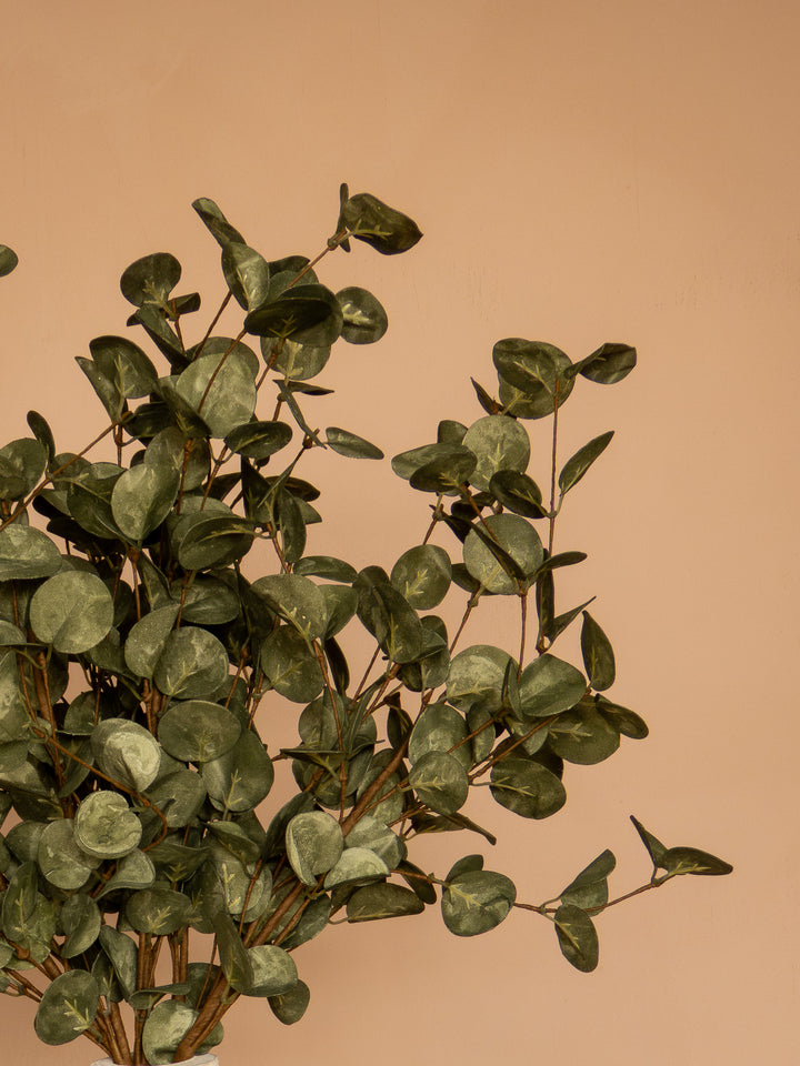 Eucalyptus - Donkergroen (5 Stengels)