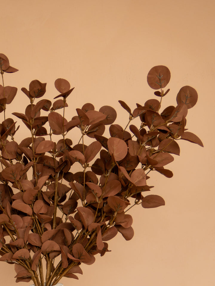 Eucalyptus - Bruin (5 Stengels)