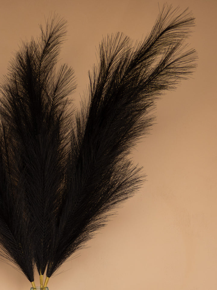 Pampas - 110cm - Zwart (3 Stengels)