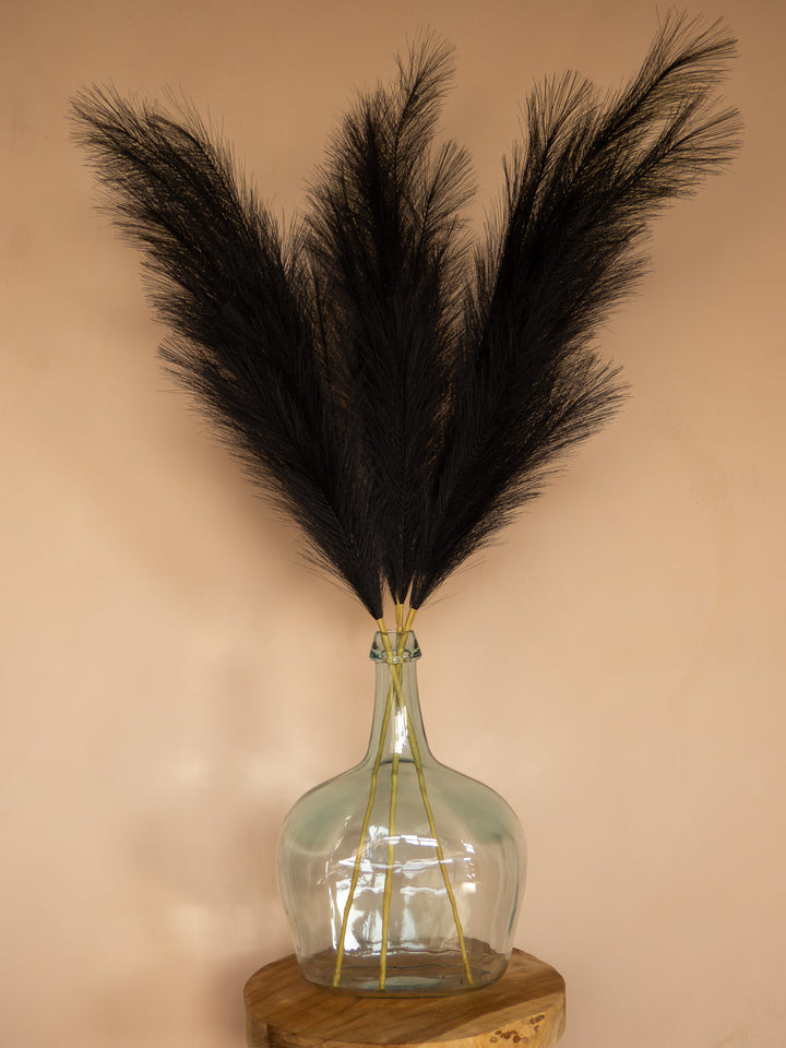 Pampas - 110cm - Zwart (3 Stengels)
