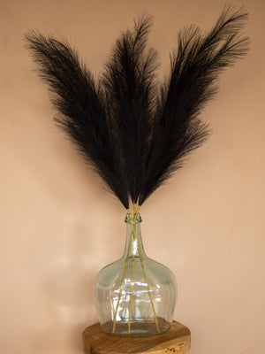 Pampas - 110cm - Zwart (3 Stengels)