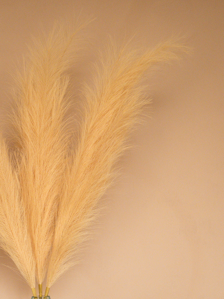 Pampas - 110cm - Beige (3 Stengels)