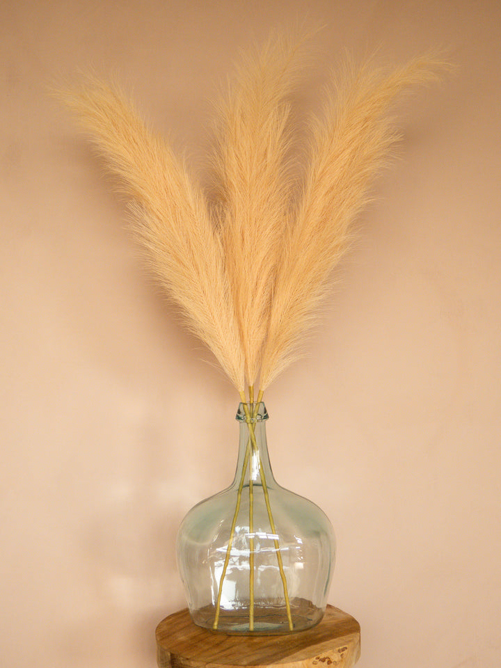 Pampas - 110cm - Beige (3 Stengels)