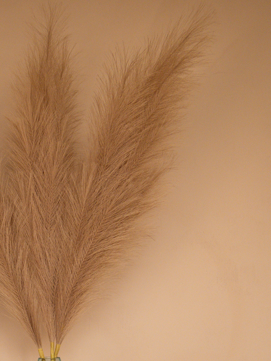 Pampas - 110cm - Bruin (3 Stengels)