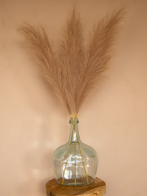 Pampas - 110cm - Bruin (3 Stengels)
