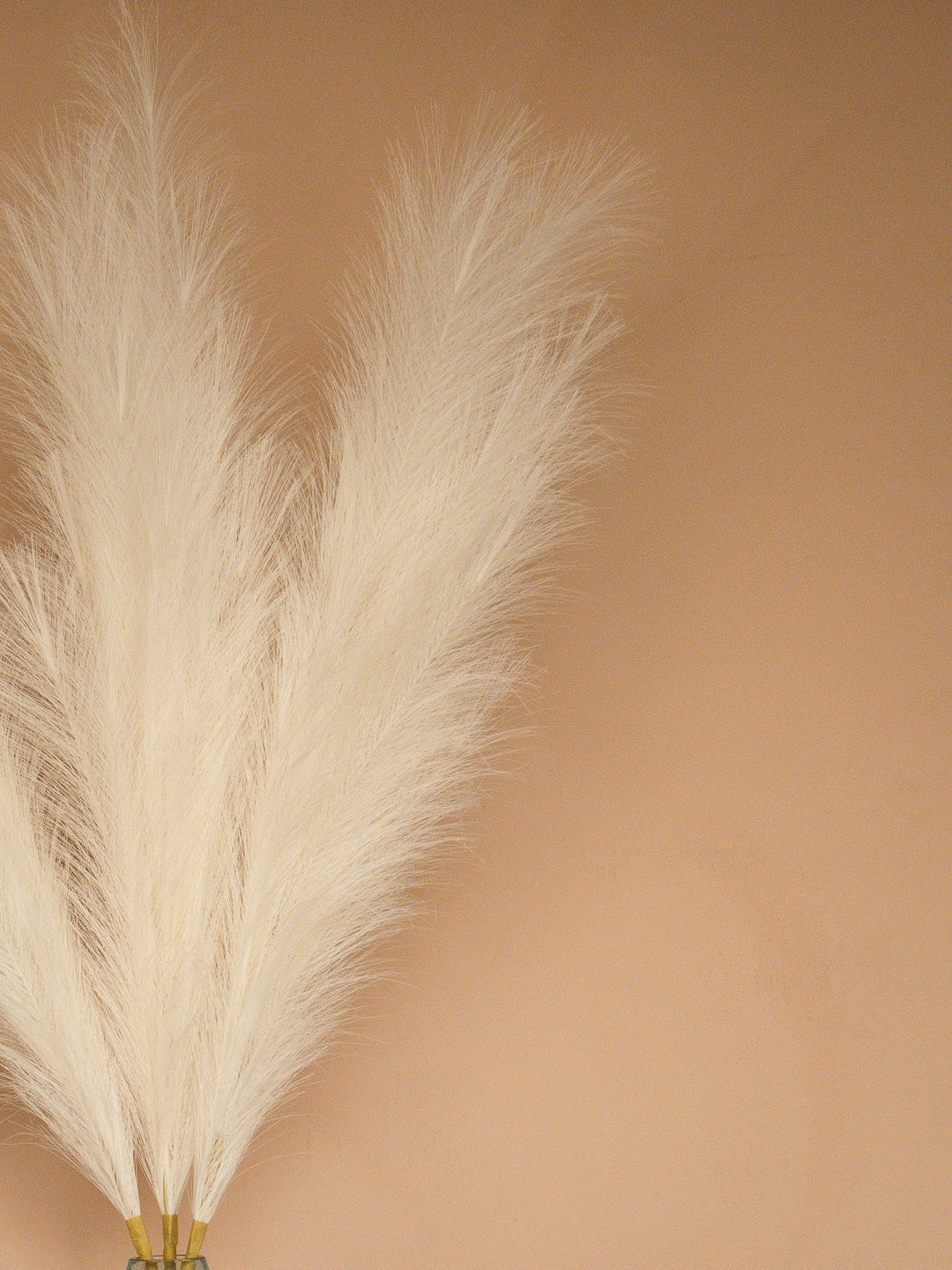 Pampas - 110cm - Wit (3 Stengels)