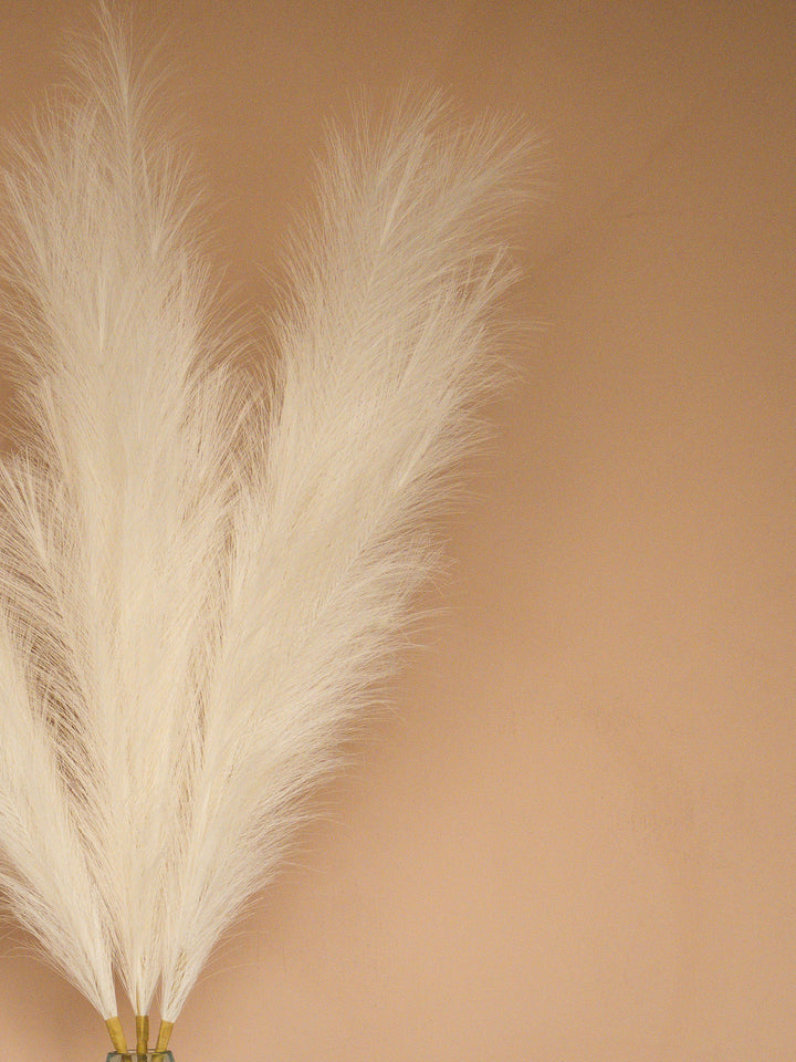 Pampas - 110cm - Wit (3 Stengels)