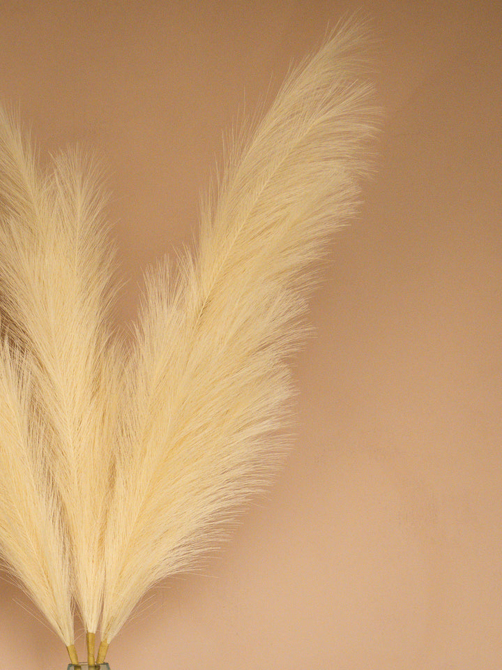 Pampas - 110cm - Créme (3 Stengels)