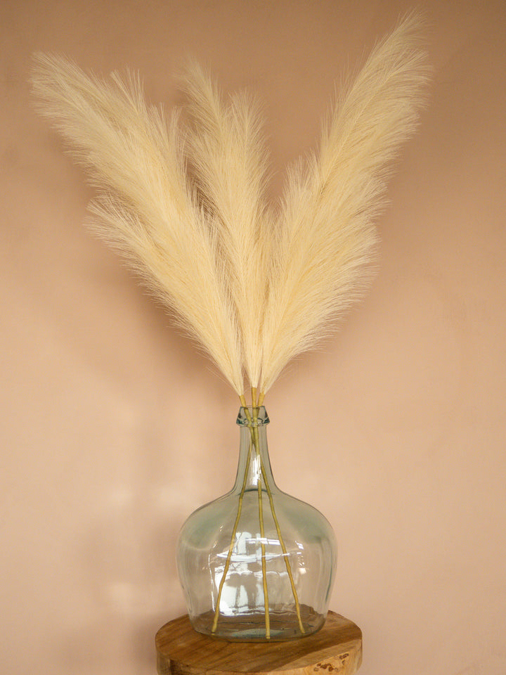 Pampas - 110cm - Créme (3 Stengels)