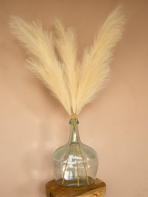 Pampas - 110cm - Créme (3 Stengels)
