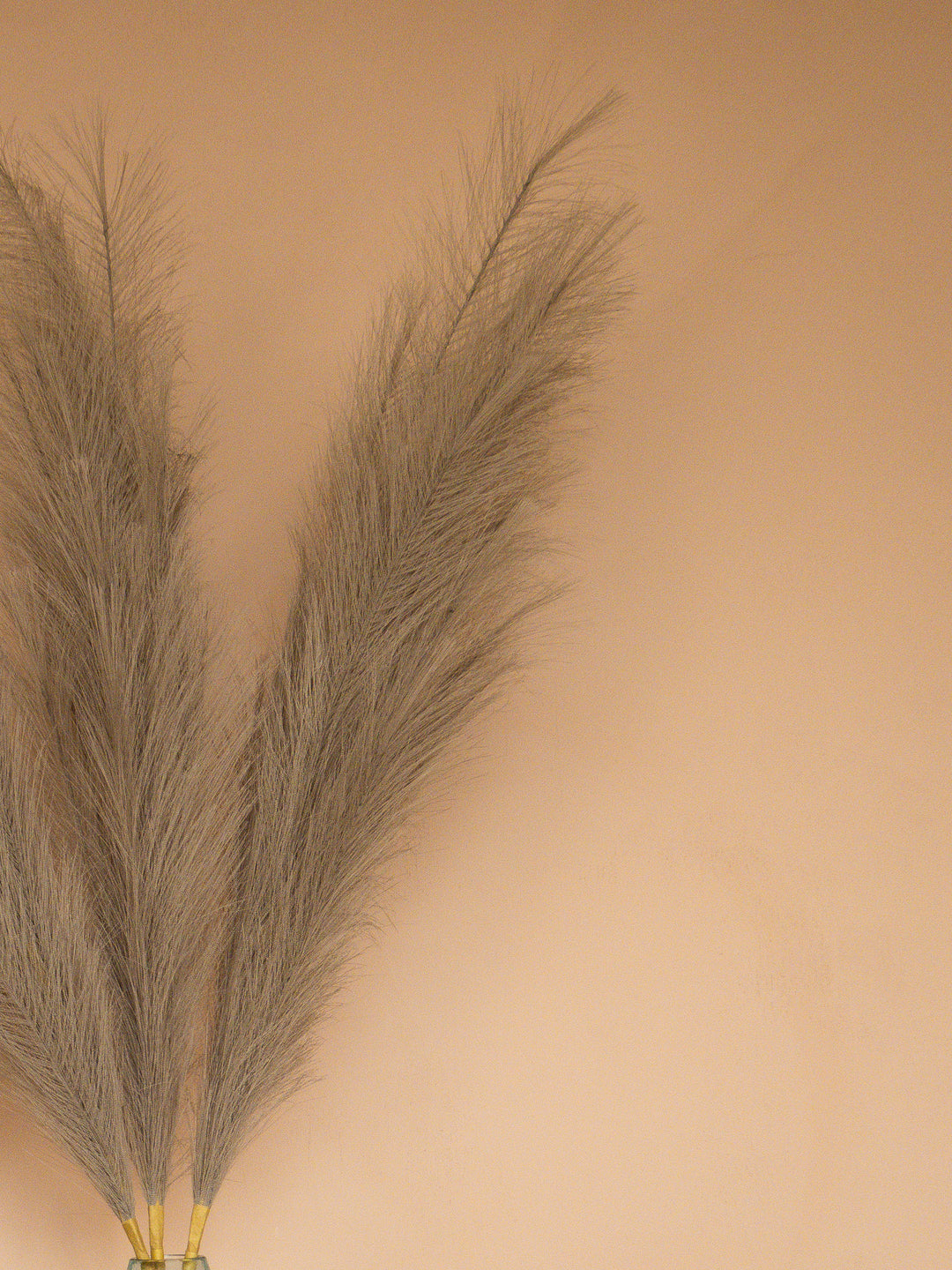 Pampas - 110cm - Lichtgrijs (3 Stengels)