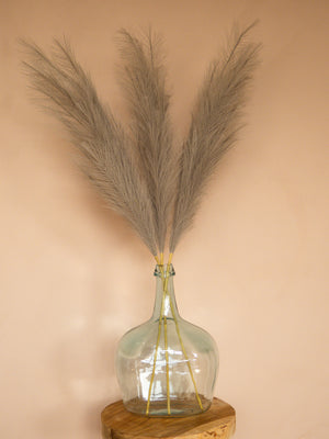 Pampas - 110cm - Lichtgrijs (3 Stengels)