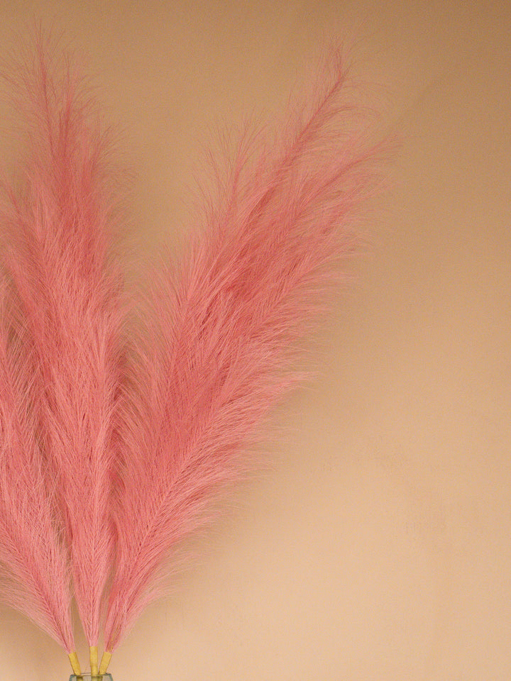 Pampas - 110cm - Roze (3 Stengels)