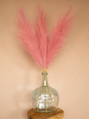 Pampas - 110cm - Roze (3 Stengels)